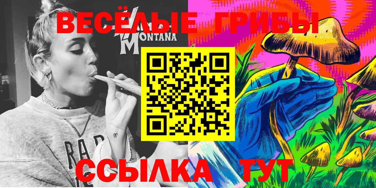Псилоцибиновые грибы Magic Shrooms  Вход с VPN  Шатура  закладка  Псилоцибиновые грибы Psilocybine cubensis 