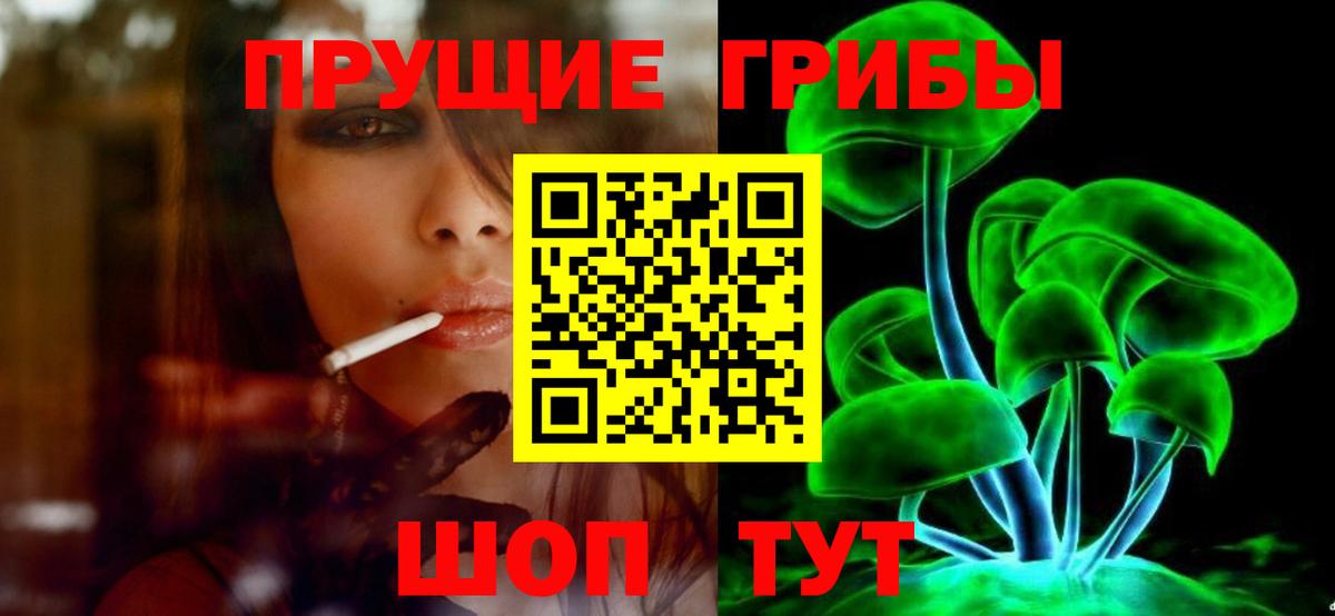Галлюциногенные грибы Psilocybine cubensis Шатура